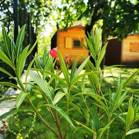 Glamping Krasen Kras 104