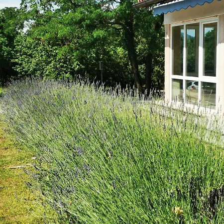 Luksuzni šator Krasen Kras 104 *