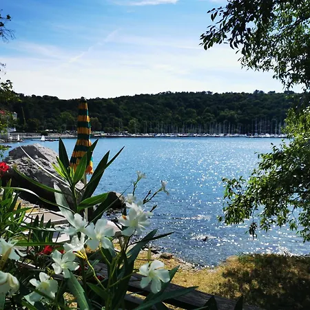 Luksustelt Krasen Kras 104 Komen