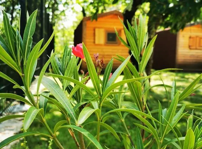 Luxury tent Krasen Kras 104